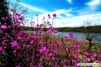 冬暖夏涼の的主播照片