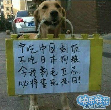 love相聚的图片