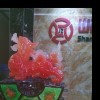 晋兆公司