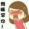 洪武大炮