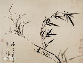 雾塞苍天主播照片