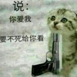 猴屁股着火了