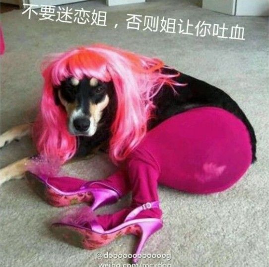 〆﹏Ne╭獨(dú)眼狼的主播照片