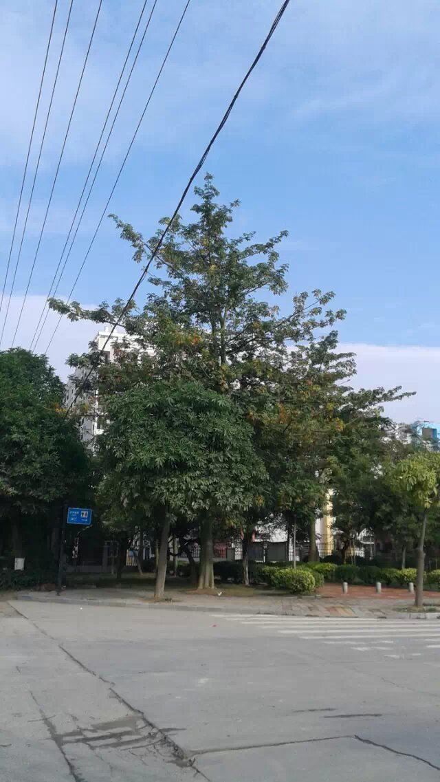 ──╄純属★诗作奇葩的主播照片