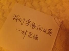 永远挂号主播照片