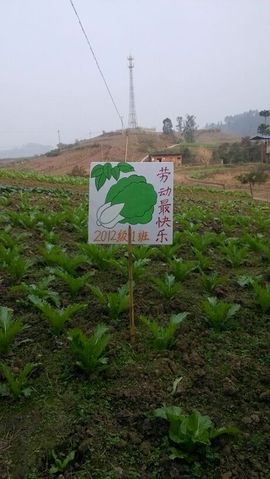 多明悦主播照片