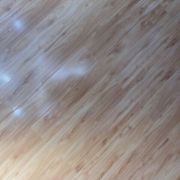 凡喑果敬海报