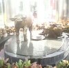 老乡~~时间