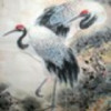 再度…淪陷的頭像