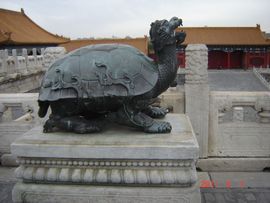 永远挂号主播照片