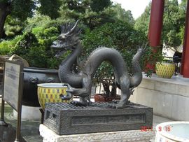 永远挂号主播照片
