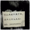 没毛病的阿豪