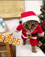 ╰⋛维.尼⋚╯主播照片