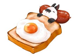︿道哥︿主播照片