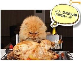 ︿道哥︿主播照片