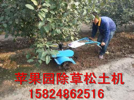 nongfenga主播照片