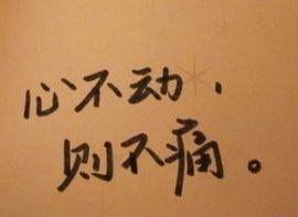 Ａｍｏｒ❤殇M魂主播照片
