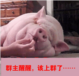｡oO小♥主Oo｡主播照片