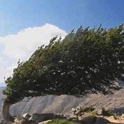 ☆懒散的背影海报