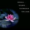 开始了哟海报