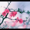 相惜g