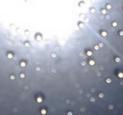 龍皇ㄓ雨中晴的主播照片