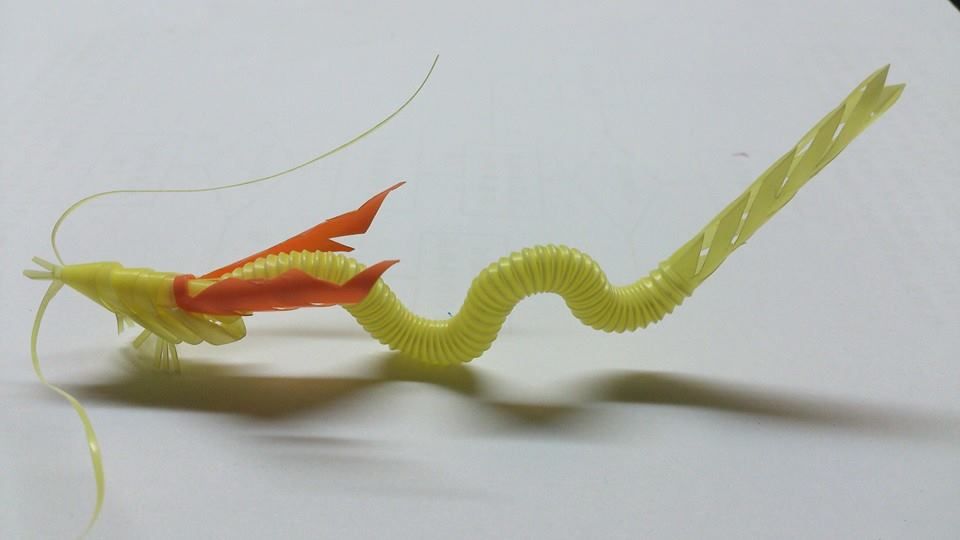 潛在空氣中的笨笨魚(yú)的主播照片