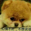 琉璃时光s