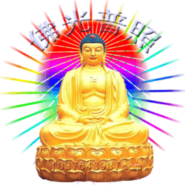 网友增福寿看我写动态主播照片