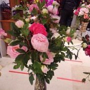 隔岸看烟花
