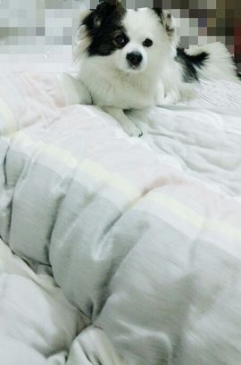 ♬花☆千骨♚主播照片