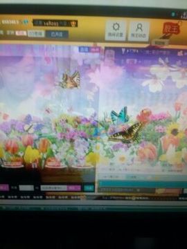 ╰═♡低调♬奢华✿主播照片