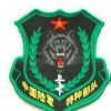 欢欢ld海报