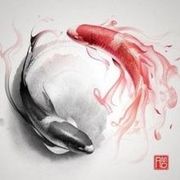 看你们穷侃的头像