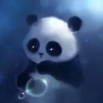 SIM七哥哥