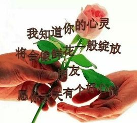 ●●独霸天下●●主播照片