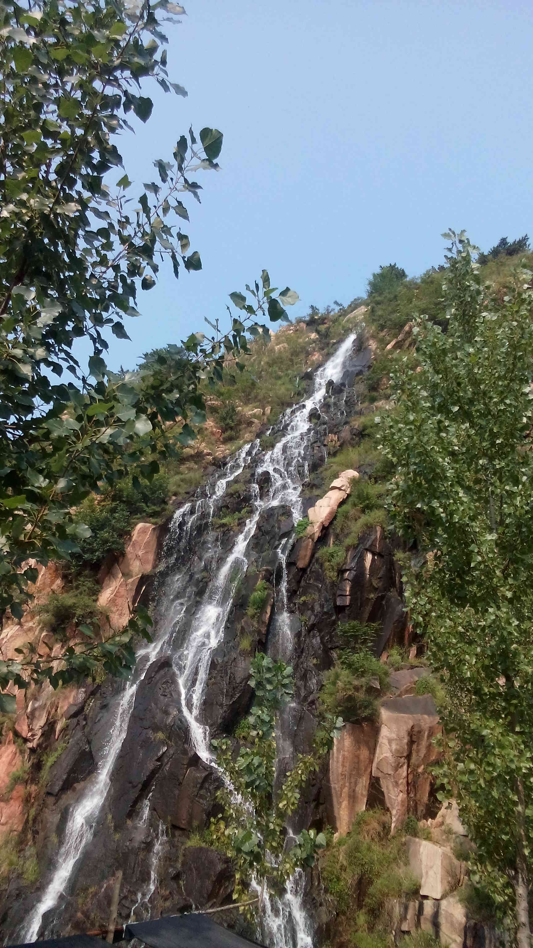 --沧--海--的主播照片