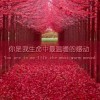 冰凉的秋