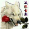 戰狼音頻