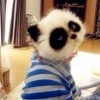 ？？？b海报