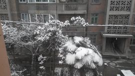 翼翔海天健身队主播照片