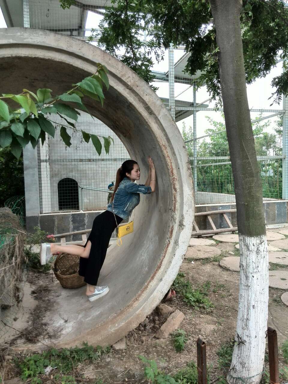 宝宝嗳妮的主播照片