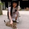 毫无萌萌哒海报