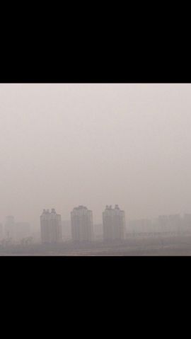 小鱼儿小白鲨主播照片