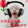 天☜☞狼主播照片