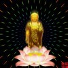 我们有缘吗4