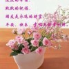 回忆再美已成过去