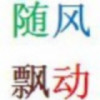 随风飘动5
