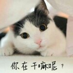 陪伴♥想我没海报