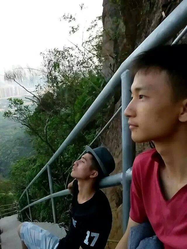 傲娇的胖胖猫的图片